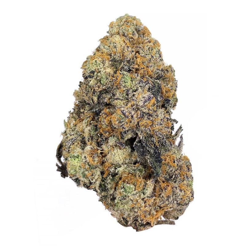 Indoor AAA Exotic THCA Flower Clearance — Volume Pricing! – Quarter Pound (113g) — $625.00, Great White Shark (Sativa) — 28.4% THCA