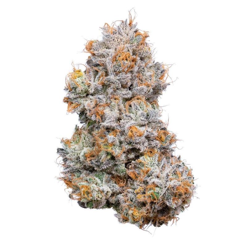 Indoor AAA Exotic THCA Flower Clearance — Volume Pricing! – Half Ounce (14g) — $99.99, Gumbo (Indica) — 31.17% THCA