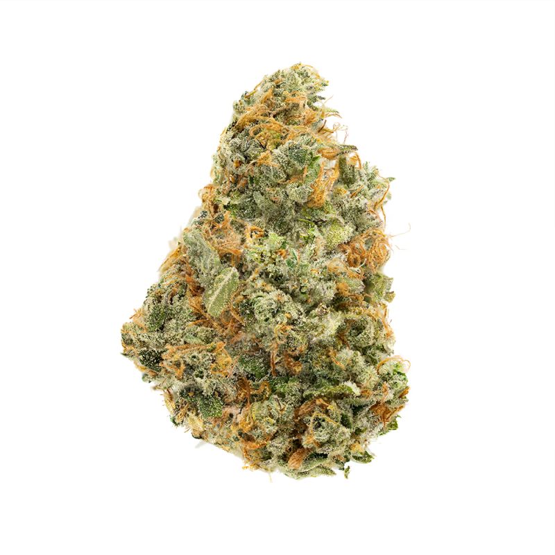 Indoor AAA Exotic THCA Flower Clearance — Volume Pricing! – Pound (454g) — $1400.00, Mango Crack (Sativa) — 30.44% THCA