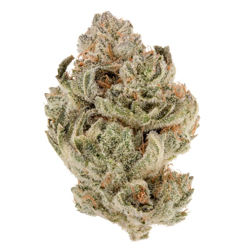 Indoor AAA Exotic THCA Flower Clearance — Volume Pricing! – Pound (454g) — $1400.00, Romulan (Indica) — 34.03% THCA