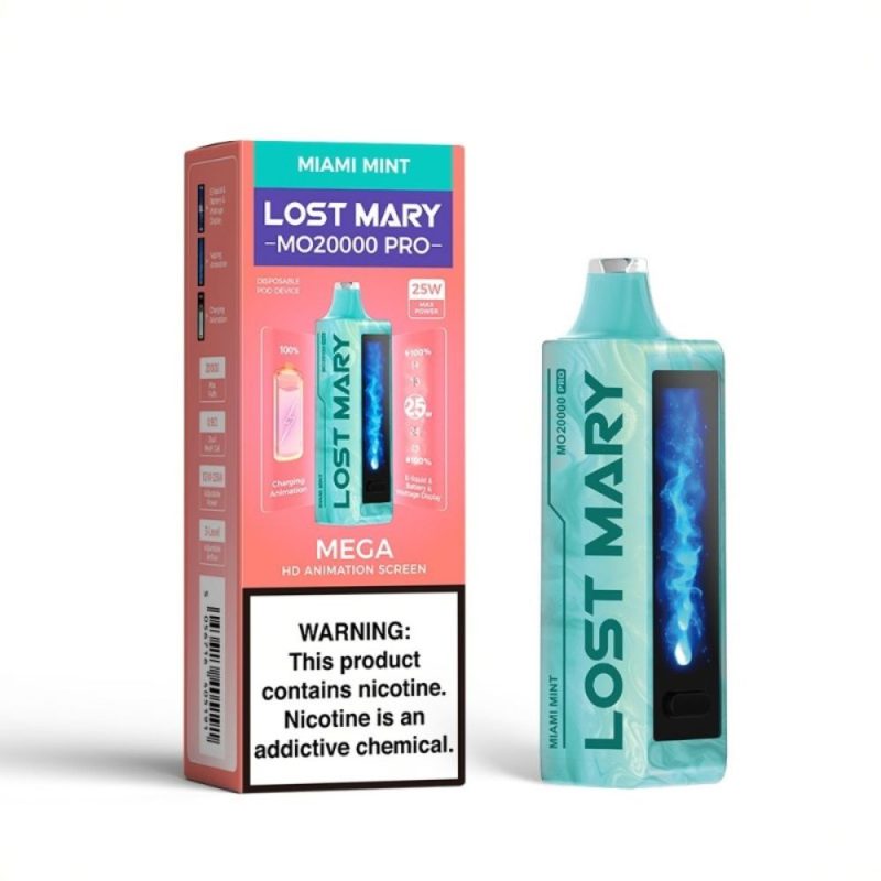 lost mary