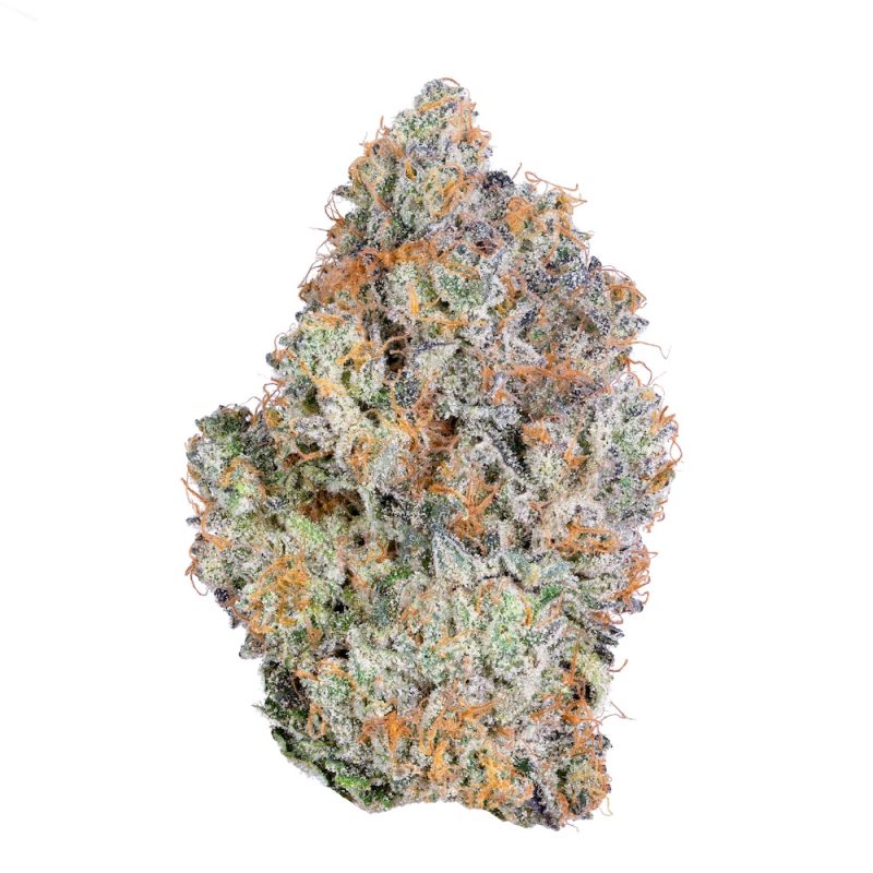 Premium Indoor Exotic THCA Flower – Volume Pricing! – Half Ounce (14g) — $97.99, Chong Star (Hybrid) — 32.98% THCA