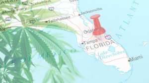 is thca legal in florida